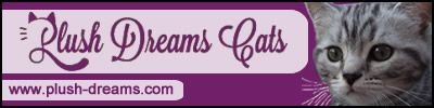 Plush Dreams Cattery