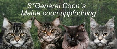General Coon's