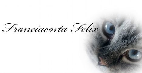 Franciacorta Felix