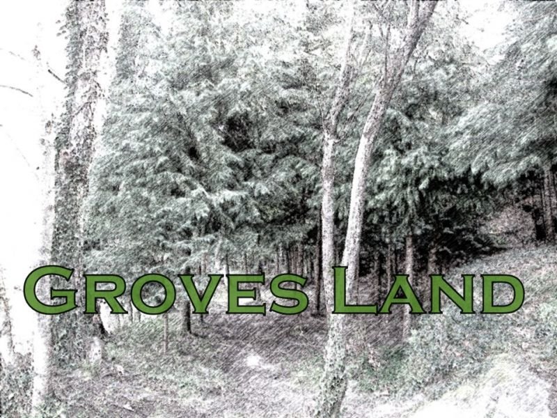 Groves Land