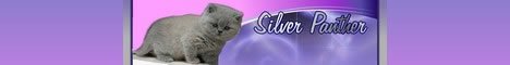 Silver Panther
