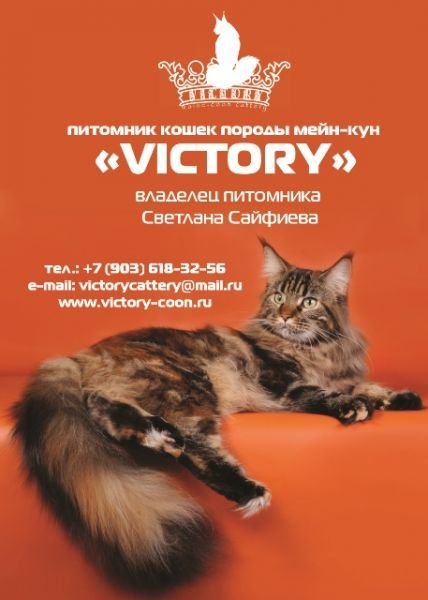 VICTORY
