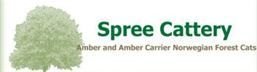 Spree Cattery