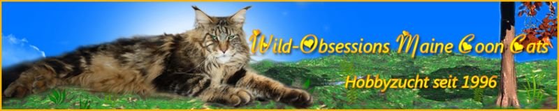 Wild-Obsessions