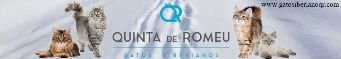 Quinta de Romeu