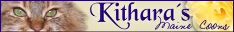Kithara's