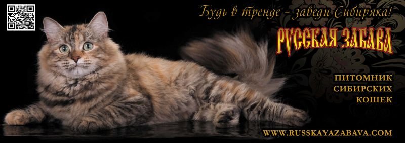 of RUSSKAYA ZABAVA