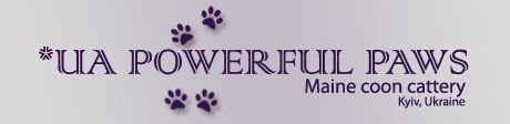 UA* POWERFUL PAWS