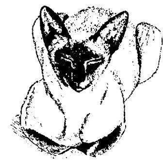 Seki