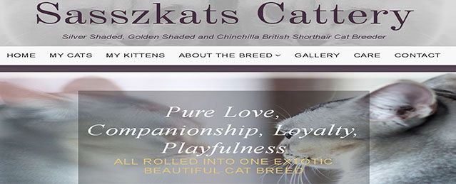 Sasszkats