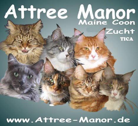 Attree Manor