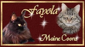 Fayola