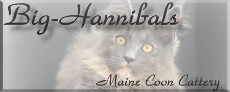 BIg-Hannibals
