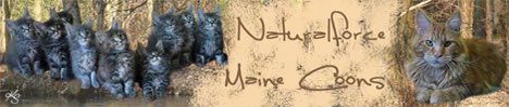 of Naturalforce