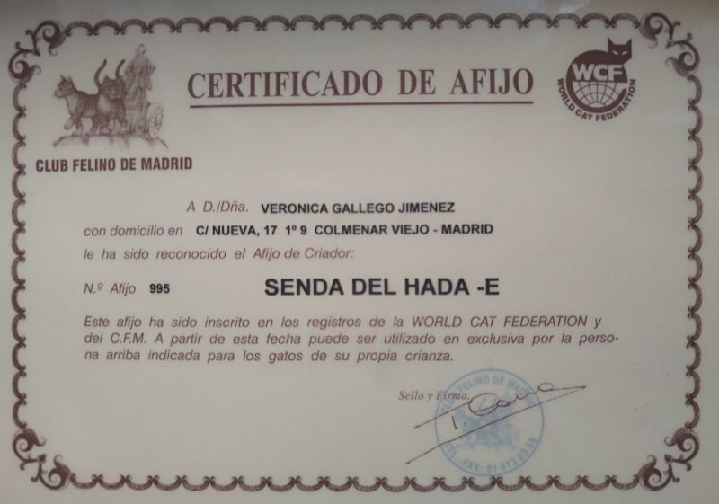 Senda Del Hada