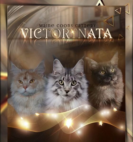 VICTORYNATA