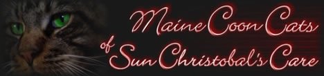 of Sun Christobal's Care