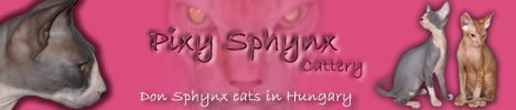 Pixy Sphynx
