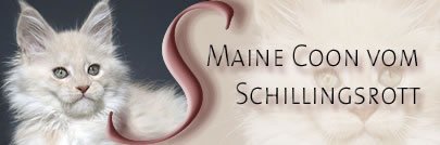 vom Schillingsrott