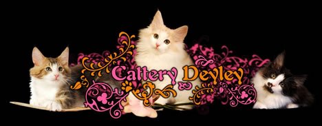 Deyley`s