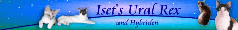 Iset