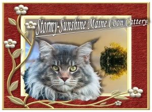 Stormy-Sunshine