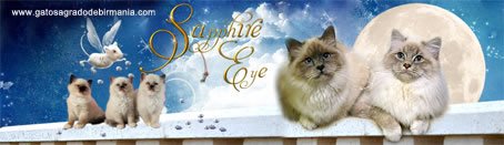 SAPPHIRE EYE