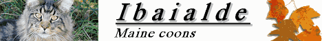 Ibaialde