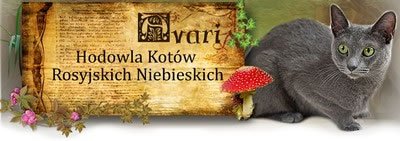 Avari*PL