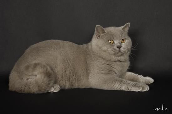 EUSTACHE