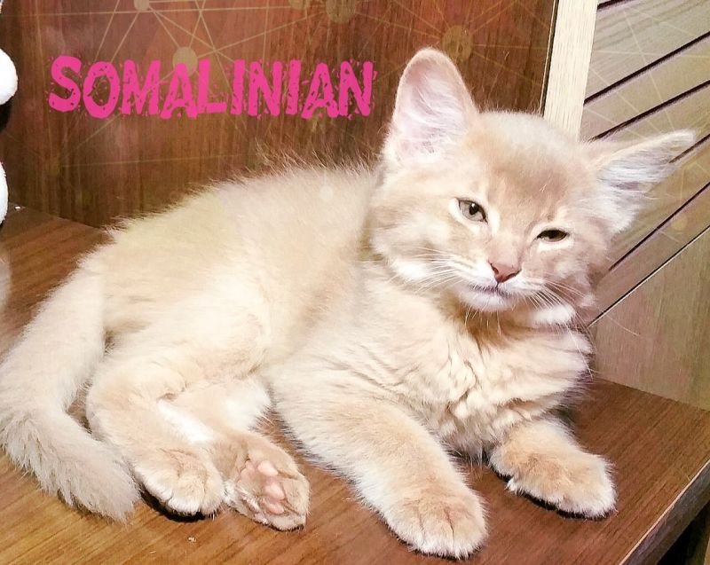 Benjamin