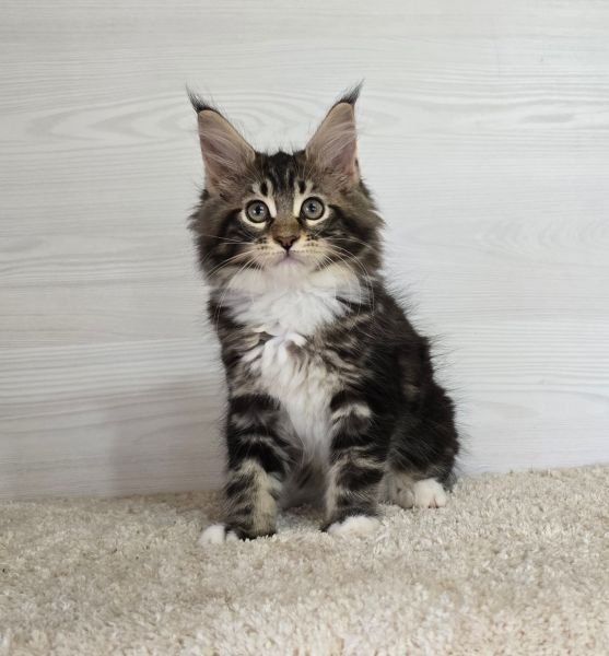 Xena