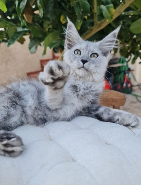 KIRI
